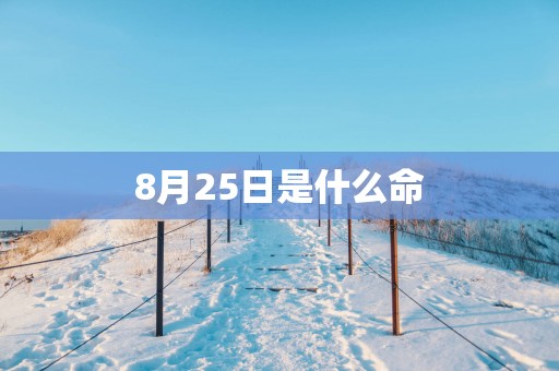8月25日是什么命