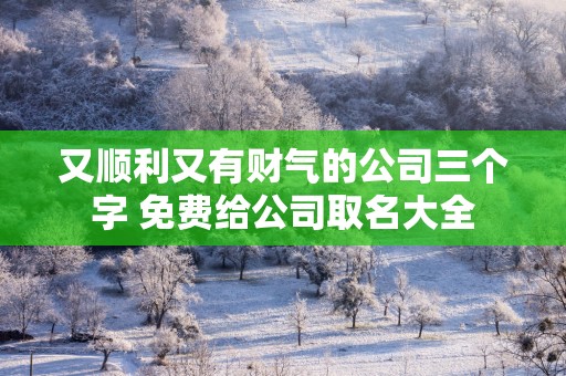又顺利又有财气的公司三个字 免费给公司取名大全