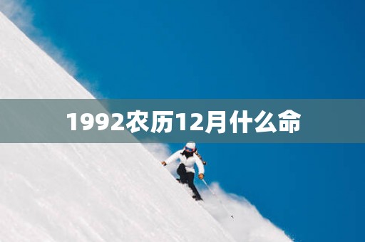 1992农历12月什么命