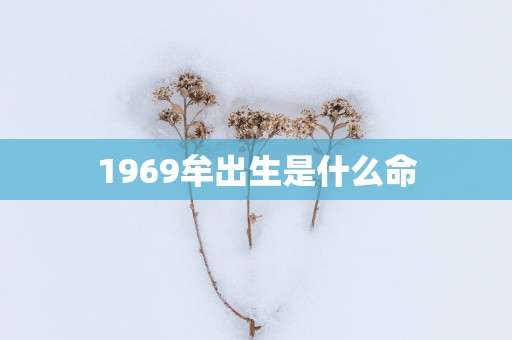 1969牟出生是什么命