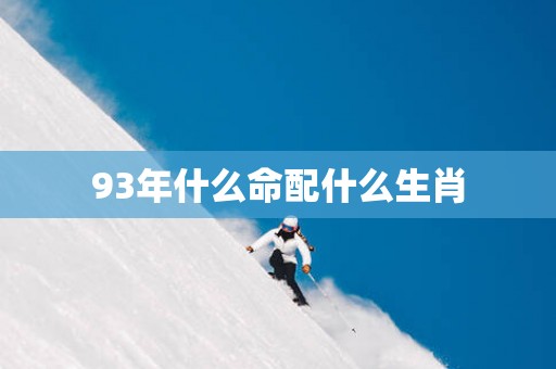 93年什么命配什么生肖