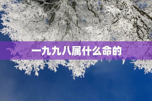 一九九八属什么命的