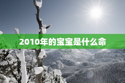2010年的宝宝是什么命