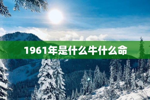 1961年是什么牛什么命
