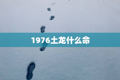 1976土龙什么命