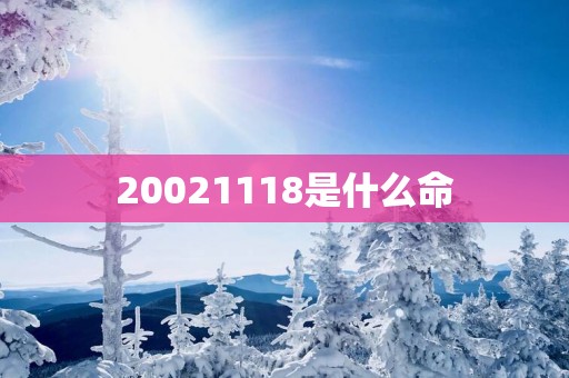 20021118是什么命