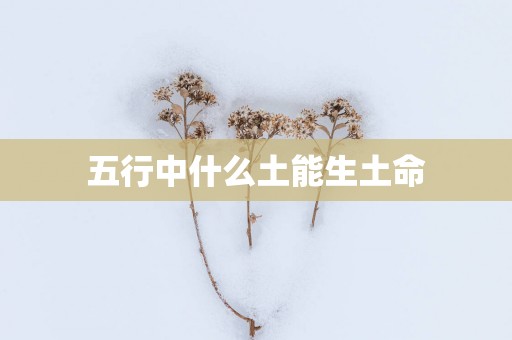 五行中什么土能生土命