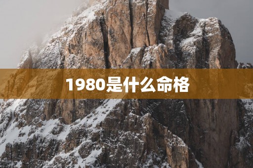 1980是什么命格