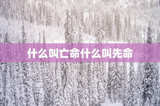 什么叫亡命什么叫先命