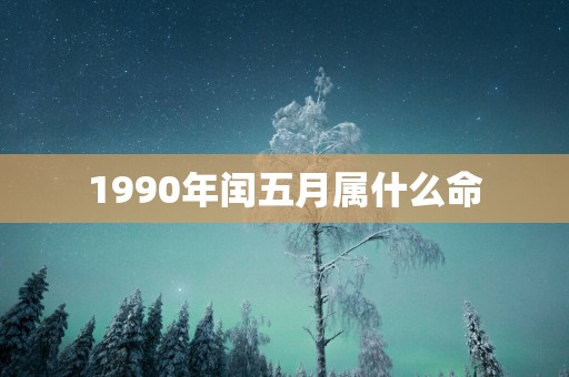 1990年闰五月属什么命