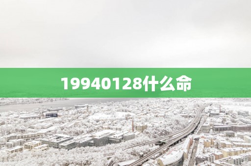 19940128什么命