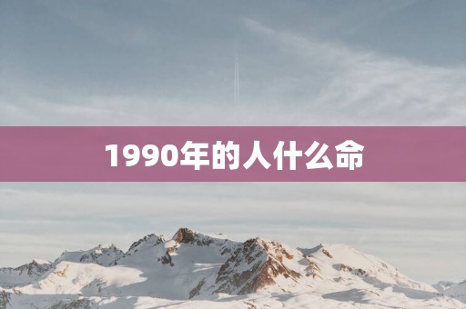 1990年的人什么命