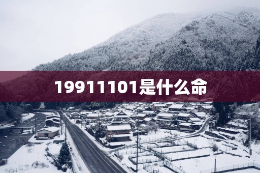 19911101是什么命