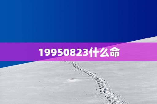 19950823什么命
