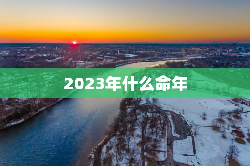 2025年什么命年