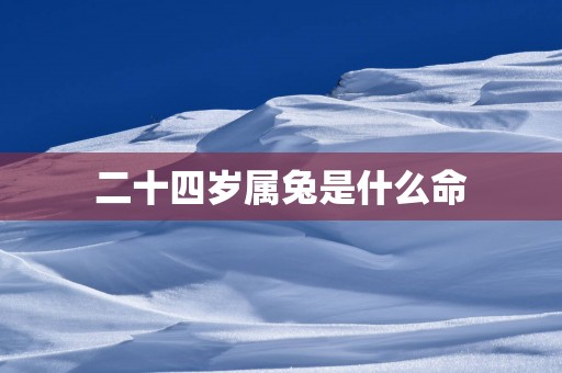 二十四岁属兔是什么命