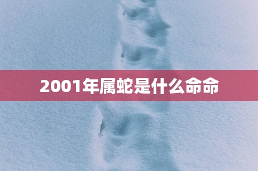2001年属蛇是什么命命