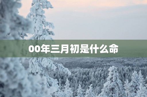 00年三月初是什么命
