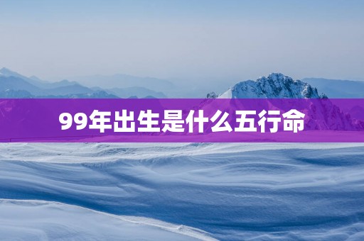 99年出生是什么五行命