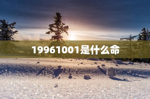 19961001是什么命