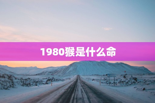 1980猴是什么命