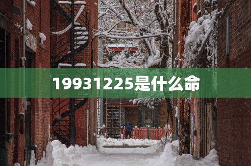 19931225是什么命