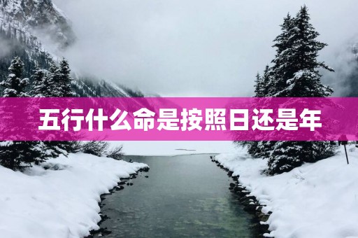 五行什么命是按照日还是年