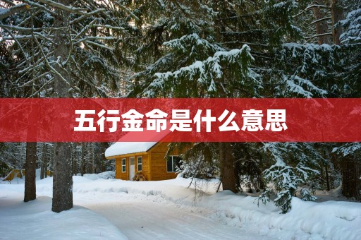 五行金命是什么意思