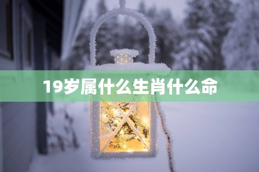19岁属什么生肖什么命