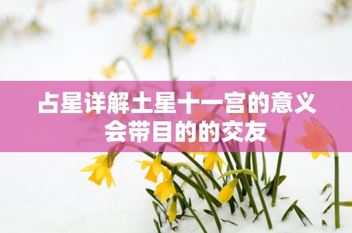 占星详解土星十一宫的意义   会带目的的交友