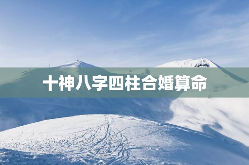 十神八字四柱合婚算命