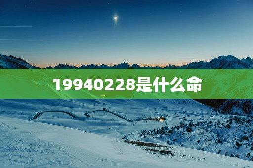 19940228是什么命