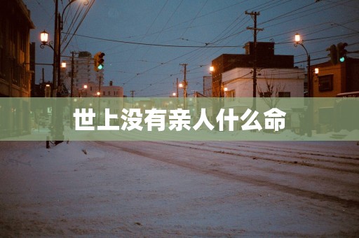 世上没有亲人什么命