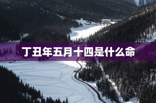 丁丑年五月十四是什么命