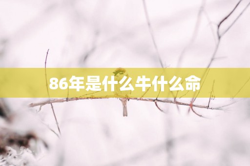 86年是什么牛什么命