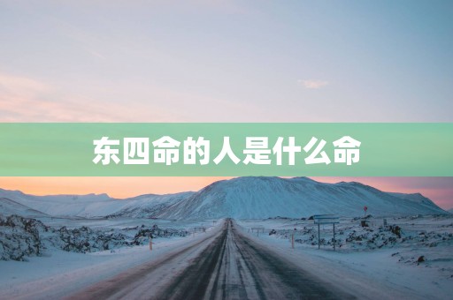 东四命的人是什么命