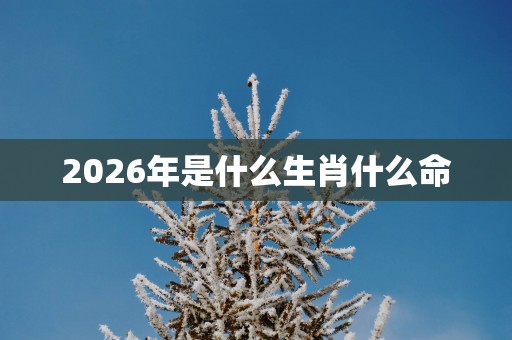 2026年是什么生肖什么命