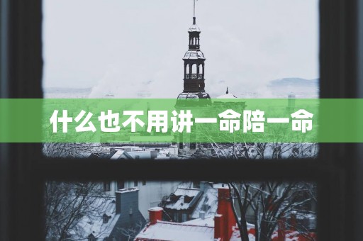 什么也不用讲一命陪一命