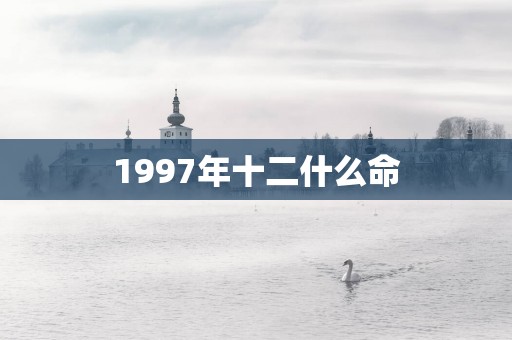 1997年十二什么命