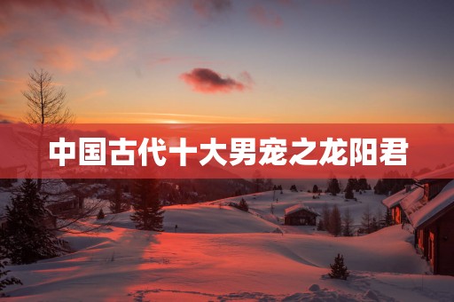 中国古代十大男宠之龙阳君