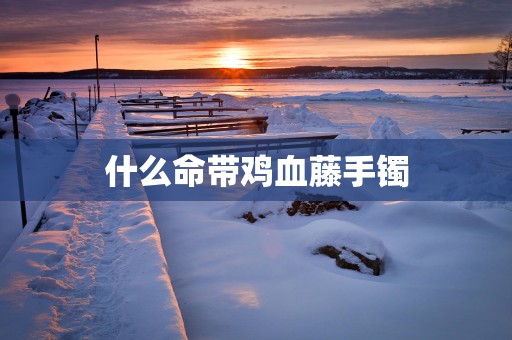 什么命带鸡血藤手镯