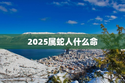 2025属蛇人什么命