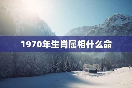 1970年生肖属相什么命
