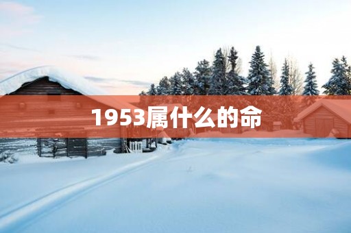 1953属什么的命