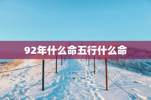 92年什么命五行什么命