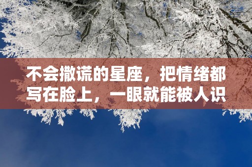 不会撒谎的星座，把情绪都写在脸上，一眼就能被人识破
