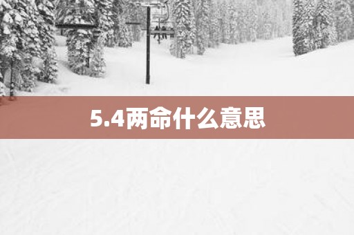 5.4两命什么意思