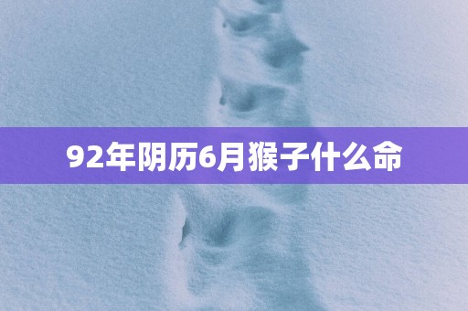 92年阴历6月猴子什么命