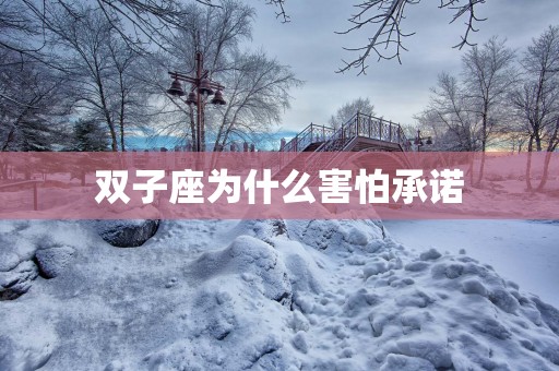 双子座为什么害怕承诺