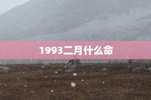 1993二月什么命